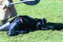 images/_1999_42_13.jpg, "And Stay Dead!"