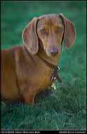20041010_090747r1