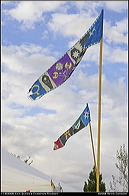20081109_144626