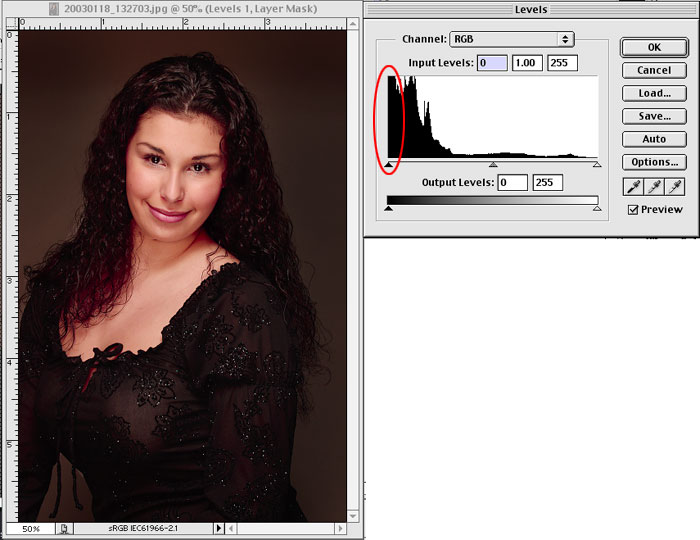 http://www.keradwc.com/outgoing_images/lowkey_histogram.jpg